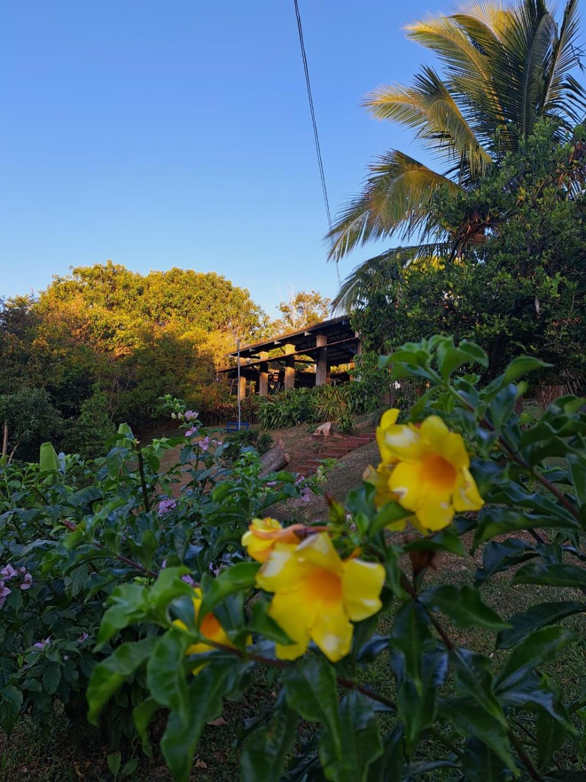 Serenity By Nature Carrillos Esterno foto