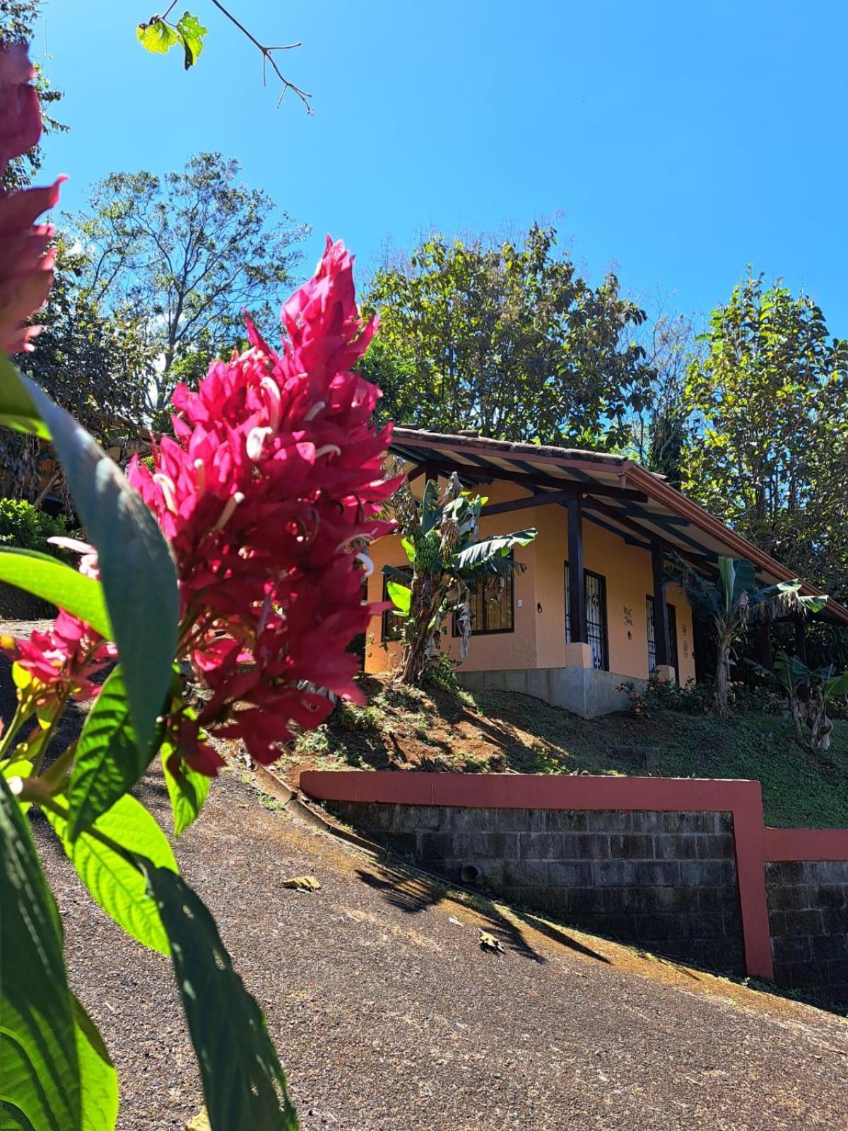 Serenity By Nature Carrillos Esterno foto