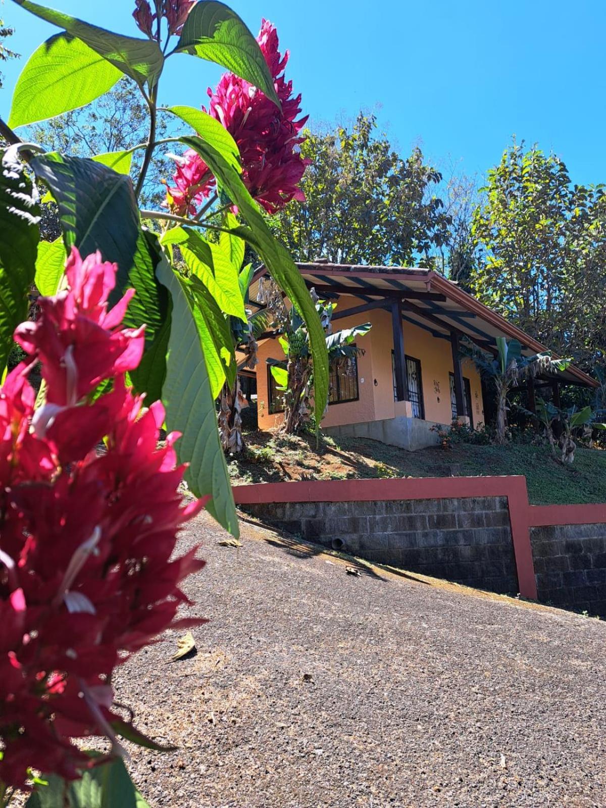 Serenity By Nature Carrillos Esterno foto